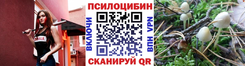 Галлюциногенные грибы ЛСД  что такое   Судогда 
